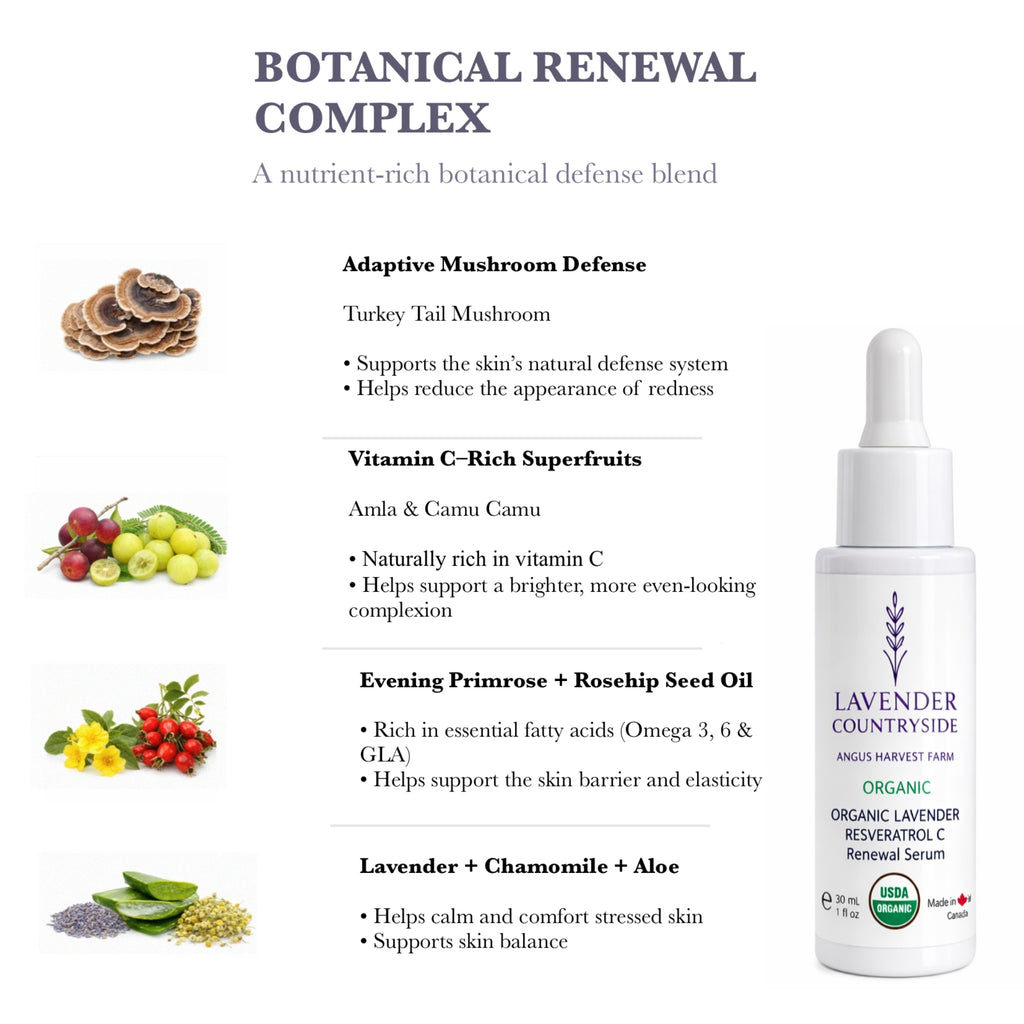 ORGANIC LAVENDER  RESVERATROL C  Renewal Serum