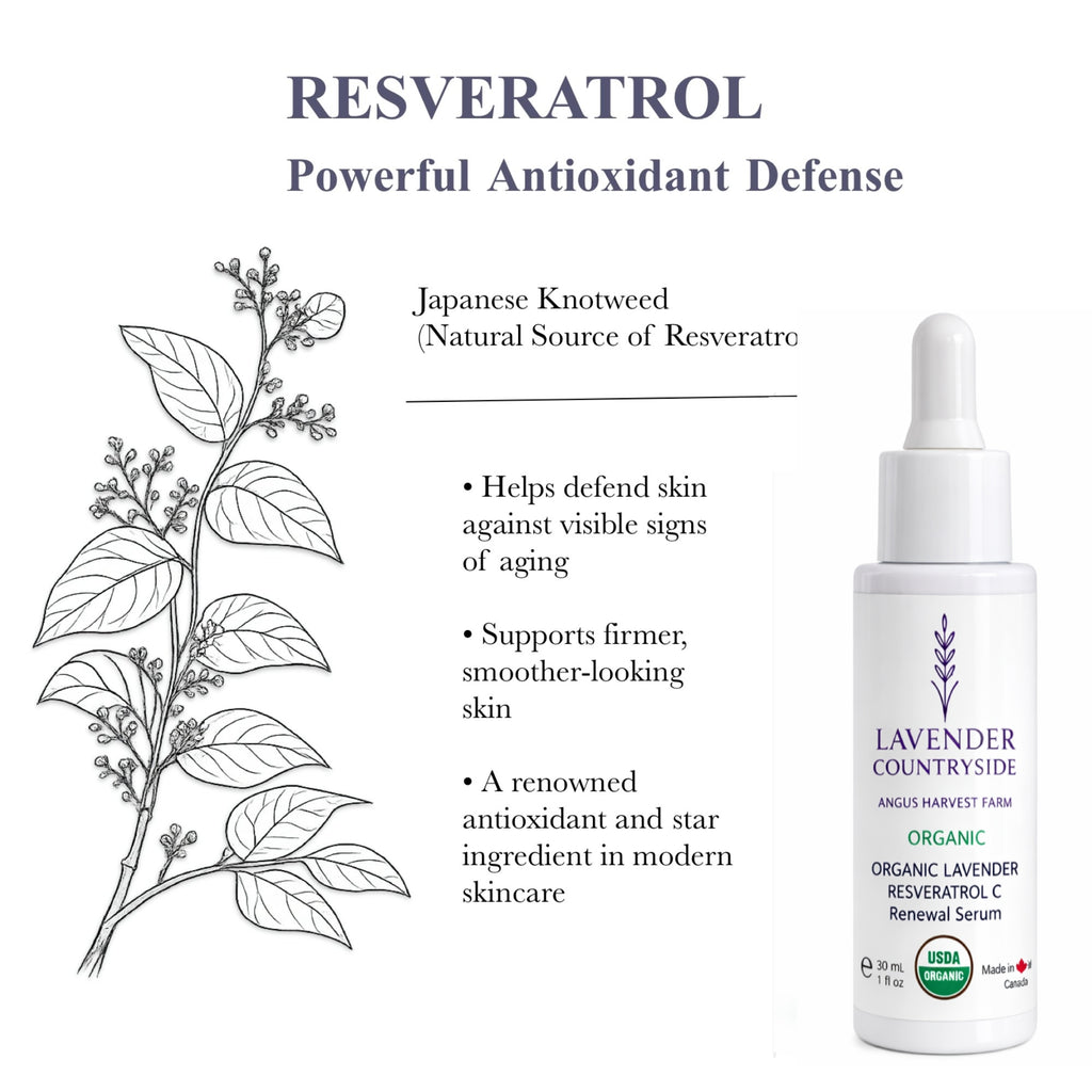 ORGANIC LAVENDER  RESVERATROL C  Renewal Serum