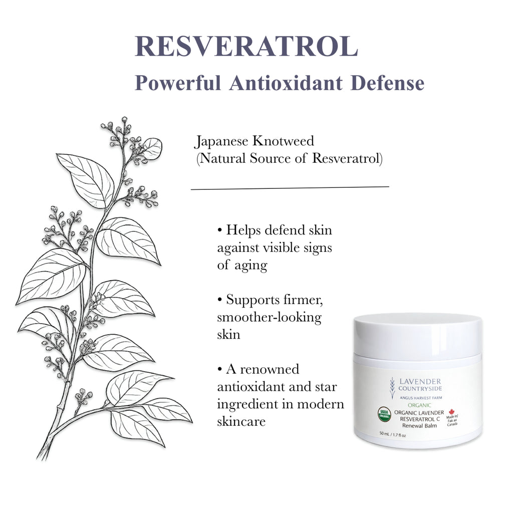 ORGANIC LAVENDER  RESVERATROL C Renewal Balm