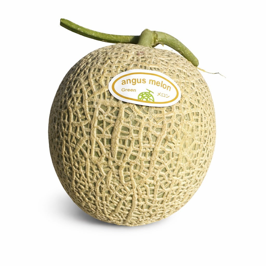 Angus Green Muskmelon