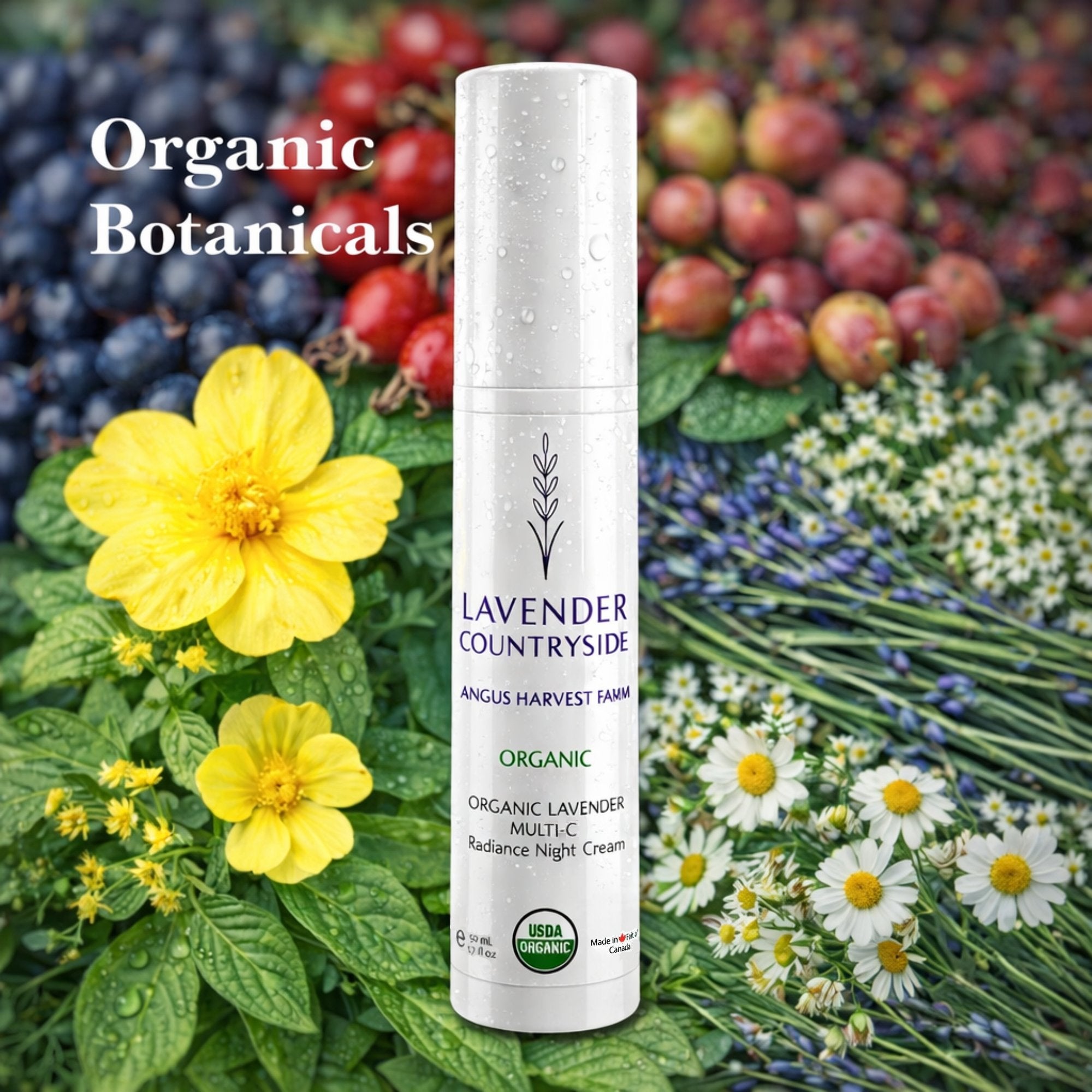 USDA Organic Multi-C Night Cream –Antioxidant for Aging & Dull